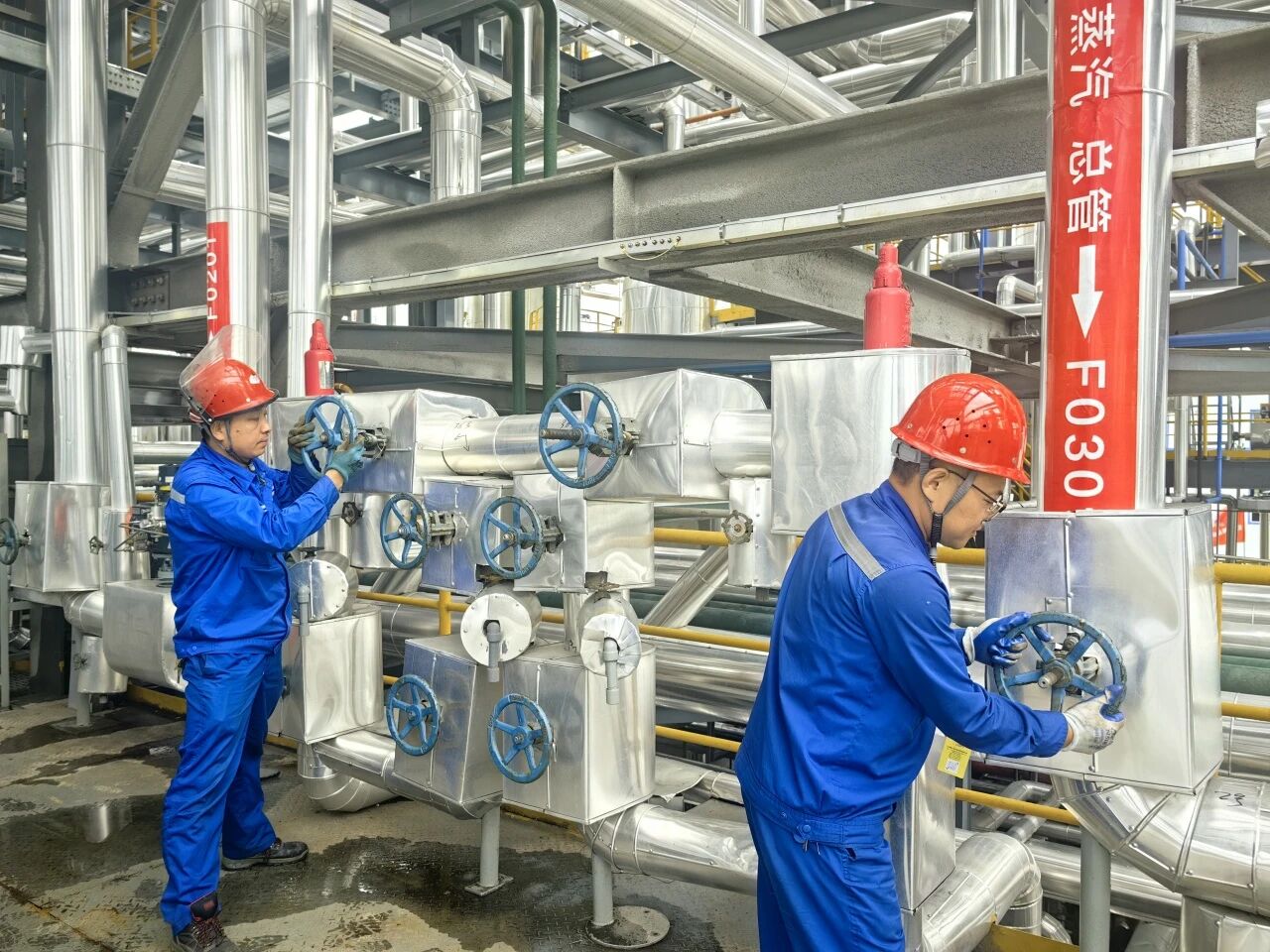 1757298205256806.jpeg 1757298205256806.jpeg