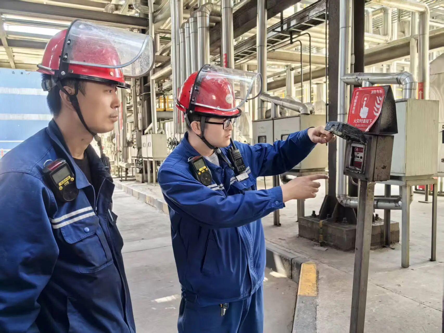 1757576419380669.jpeg 1757576419380669.jpeg