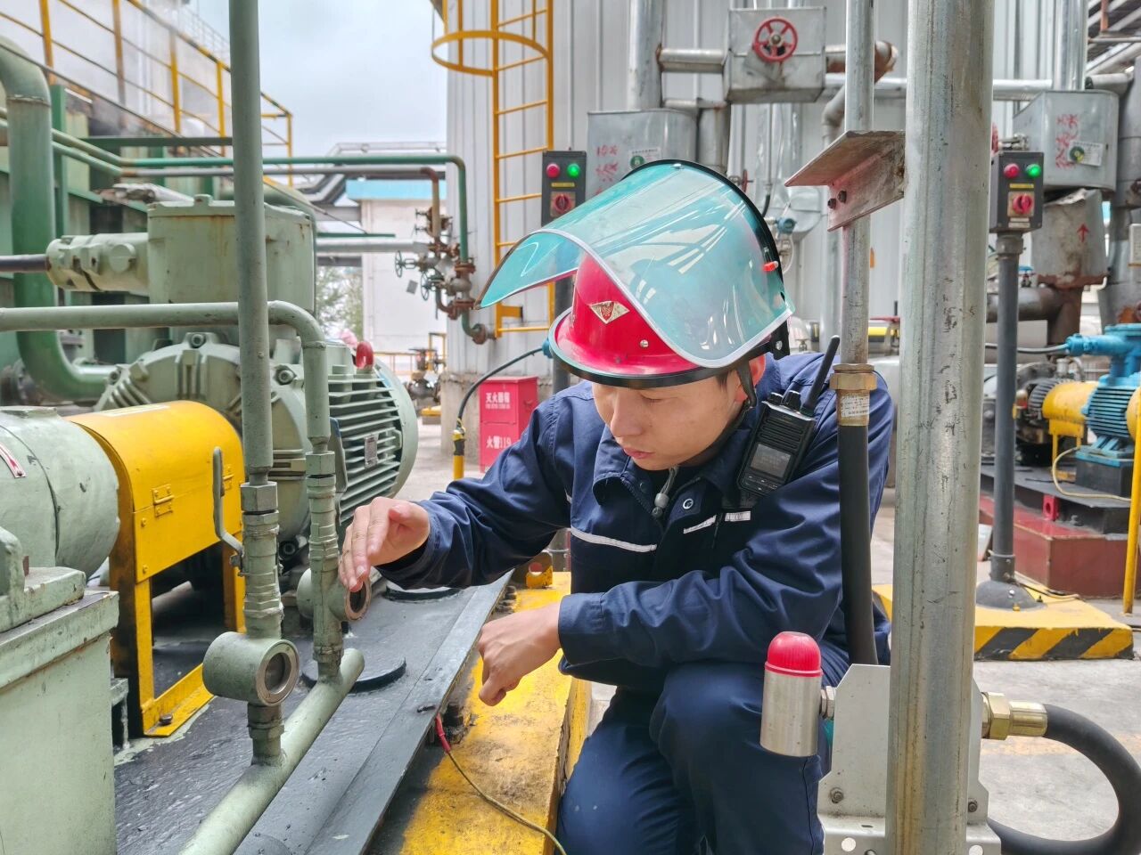 1761612393456308.jpeg 542179160eb1cb1e7146313e09ee6331.jpg